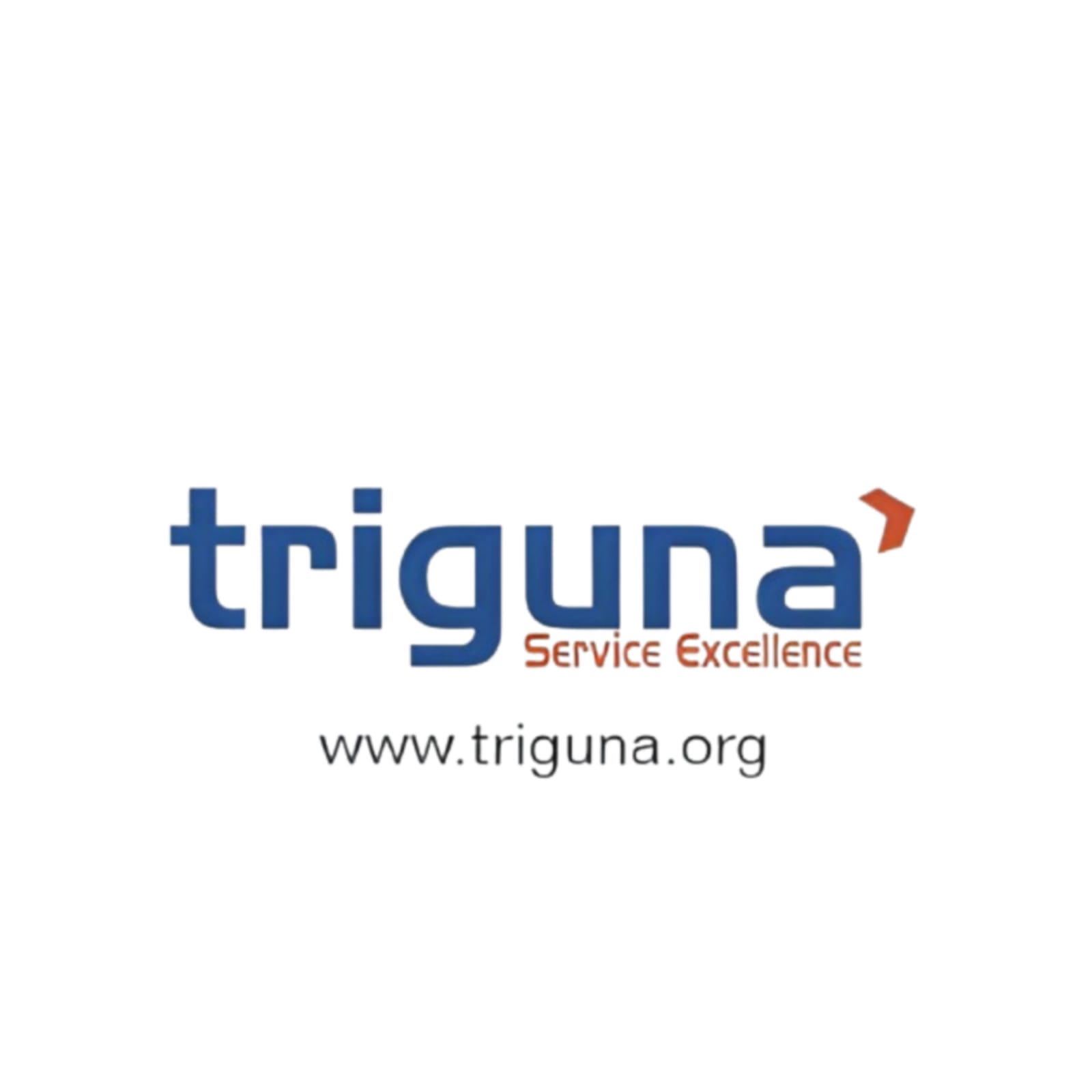 Triguna logo